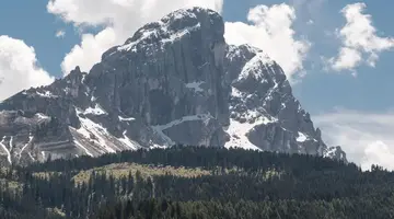 Pütia