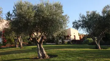 Pula Suites Boutique Resort