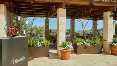 PULA SUITES BOUTIQUE RESORT
