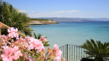 Punta Negra