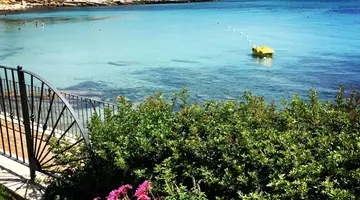 Punta Negra
