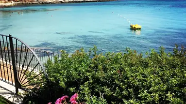 Punta Negra