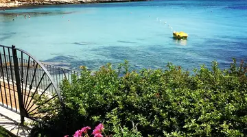 Punta Negra