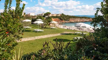 Punta Negra
