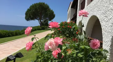 Punta Negra
