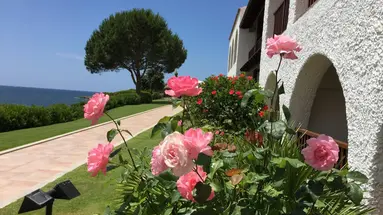 Punta Negra