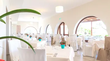 Punta Negra
