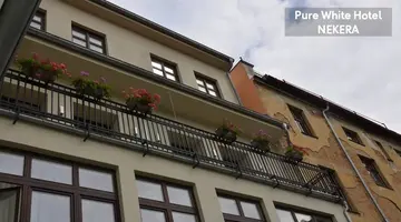 Pure White
