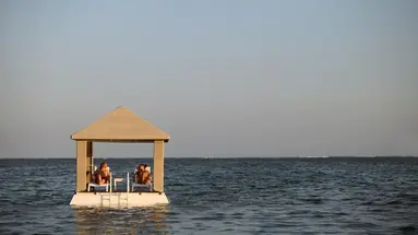 Puri Santrian