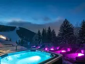 Pytloun Wellness Hotel Harrachov