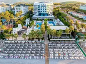 Q Premium