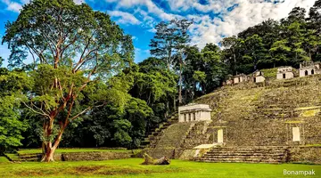 Que rico Mexico