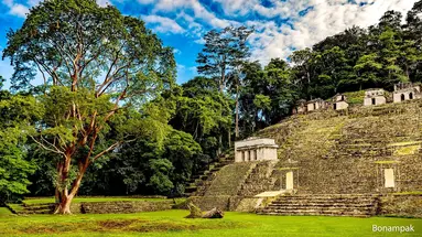 Que rico Mexico