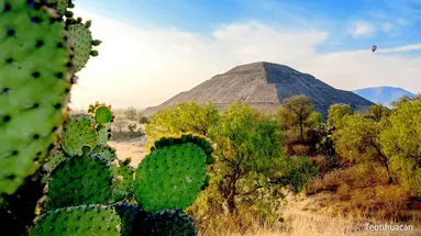 Que rico Mexico
