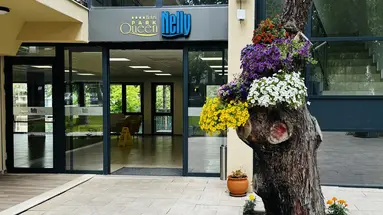 QUEEN NELLY PARK