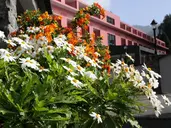 Quinta da Serra