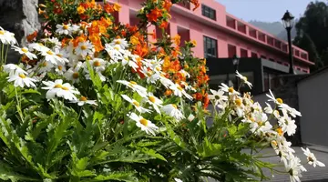 Quinta da Serra