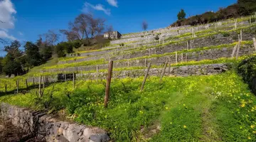 Quinta Da Serra