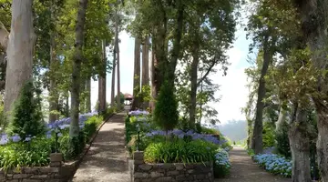 Quinta da Serra