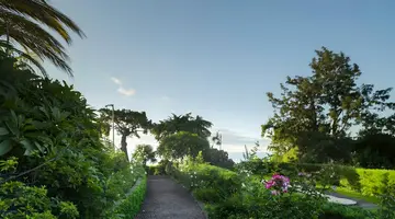 Quinta Funchal Gardens - Adults Only
