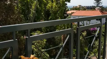 Quintinha Sao Joao