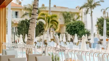R2 Buganvilla Hotel & SPA