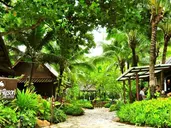 Rabbit Resort
