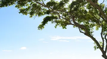 Radisson Blu Azuri Resort & Spa Mauritius