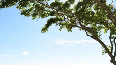 Radisson Blu Azuri Resort & Spa Mauritius