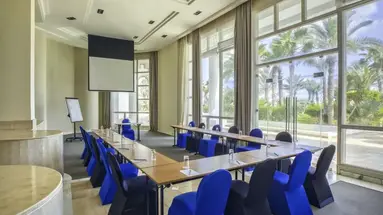 RADISSON BLU PALACE RESORT & THALASSO