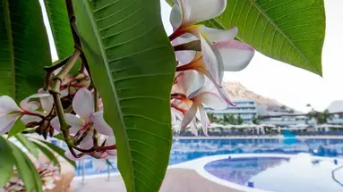Radisson Blu Resort &amp Spa Gran Canaria Mogan