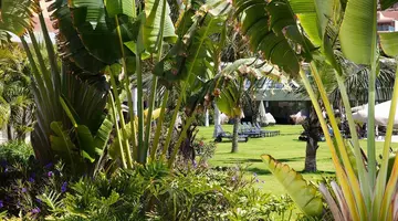 Radisson Blu Resort & Spa Gran Canaria Mogan