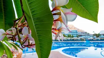 Radisson Blu Resort & Spa Gran Canaria Mogan