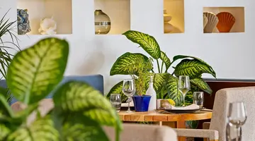 Radisson Blu Resort Taghazout Bay Surf Village