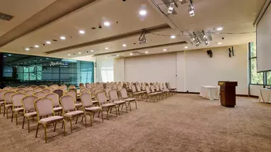 Radisson Blu