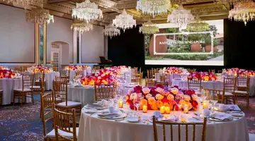 Raffles Singapore
