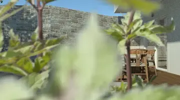 Rainbow Apartments