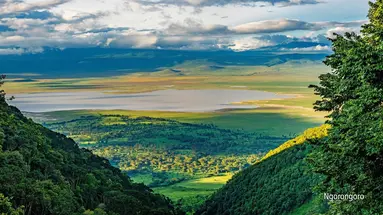 Rajskie safari