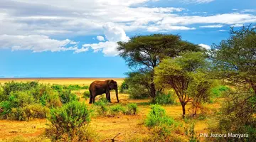 Rajskie safari