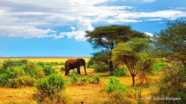 Rajskie safari