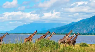 Rajskie safari