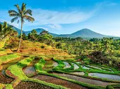 Rajskie Wyspy, Różne Światy
