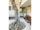 RATKO APARTMENTS