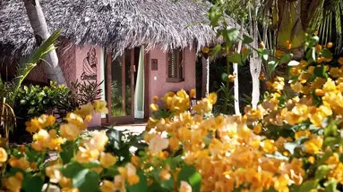 Ravintsara Wellness Hotel