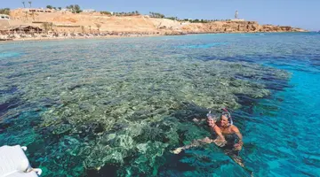 Reef Oasis Beach Resort