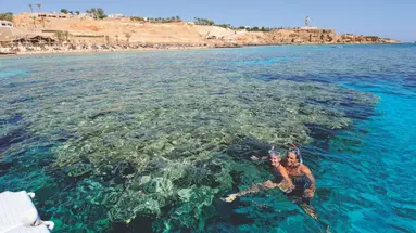 Reef Oasis Beach Resort