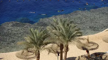 REEF OASIS BEACH RESORT