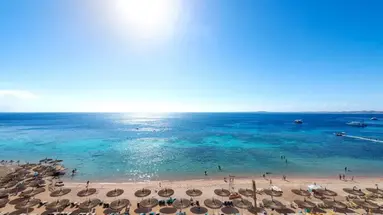 Reef Oasis Beach Resort