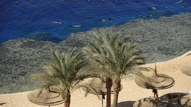REEF OASIS BEACH RESORT