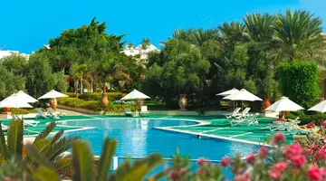 Reef Oasis Beach Resort